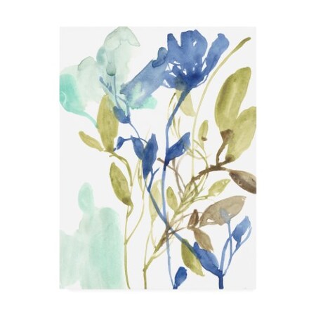 Trademark Fine Art Jennifer Goldberger 'Cobalt & Olive Bouquet II' Canvas Art, 24x32 WAG16545-C2432GG